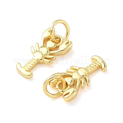 Латунные подвески&nbsp;KK-I355-10G