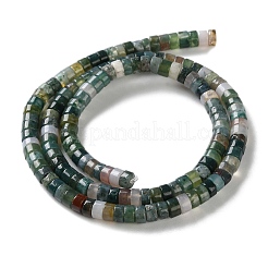 Cuentas de ágata natural india hebras&nbsp;LS-G-H230-63