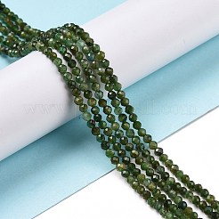 Бусины из натурального фуксита G-C009-A14