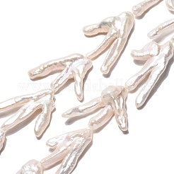 Natürliche Barock Keshi Perlen Stränge&nbsp;PEAR-S020-Y03