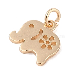 Латунь подвески&nbsp;LS-KK-N256-26G