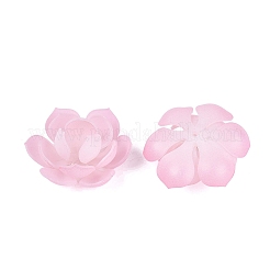 Capuchons de perles en acrylique thermorétractables&nbsp;OACR-N164-04C