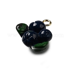 Латунные подвески из акрила OACR-R006-01G-09