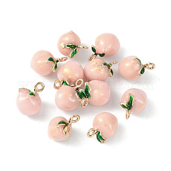Messing Emaille Anhänger / charms&nbsp;KK-G462-41LG