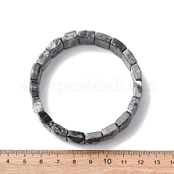 Прямоугольные браслеты из натуральных бусин из картографического камня для женщин и мужчин BJEW-Z149-01G