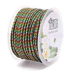 Разноцветный декоративный нейлоновый витой шнур&nbsp;NWIR-Z003-E07