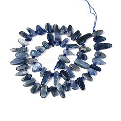 Натуральные нити из кианита / цианита / дистенового бисера&nbsp;G-Z091-A22