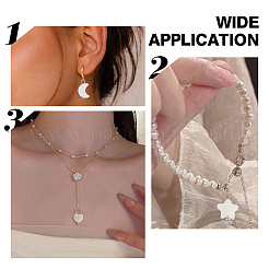 60шт 10 стиля подвески из натуральных пресноводных ракушек PALLOY-HY00106