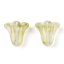 Спрей окрашены прозрачные стеклянные бусины&nbsp;LS-GLAA-D006-20E