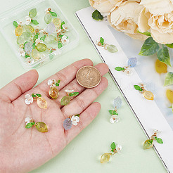 24шт 4 цвета подвески ручной работы лэмпворк&nbsp;PALLOY-AR00023