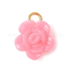 Непрозрачные акриловые подвески PALLOY-JF03305-02