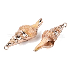 Pendentifs en spirale naturelle galvanoplastie&nbsp;SSHEL-Q100-38G