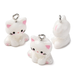 Подвески из непрозрачной смолы&nbsp;X-RESI-Z036-02P