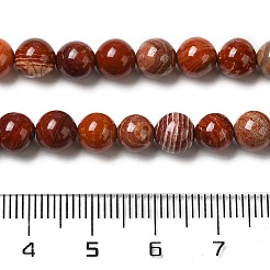 Fili di perline di diaspro rosso naturale in pelle di serpente&nbsp;X-G-H298-A02-02