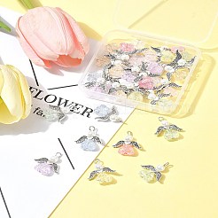 30шт. подвеска-ангел из акрила и стекла PALLOY-FZ00016