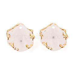 Подвески из матового пластика в виде лепестков KY-T041-20B