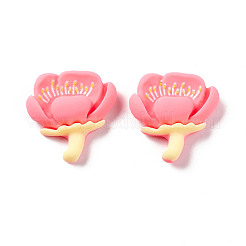 オペーク樹脂カボション  花  ミックスカラー  20~26.5x16~24.5x5.5~7.5mm&nbsp;RESI-H140-14