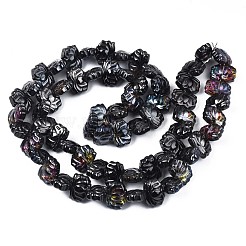 Гальванизируйте стекла прядь EGLA-S188-24-C01