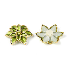 Матовые акриловые бусины&nbsp;OACR-N159-01A