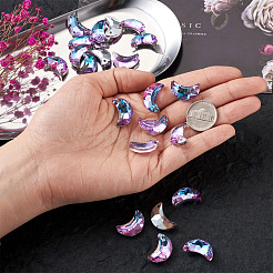 K9 Glas Strass Anhänger&nbsp;X-GLAA-TA001-003