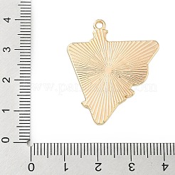 Подвески из спортивного сплава с эмалью&nbsp;ENAM-I074-01G-19