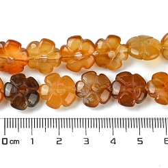 Натуральный красный агат бисер нитей G-H023-B21-01