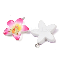 樹脂チャーム  昆虫と花  鉄パーツ  ミックスカラー  30x27.5x8.5mm  穴：2mm&nbsp;RESI-I347-04P-01
