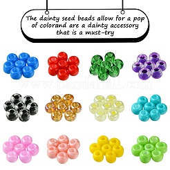 54 г краски для выпечки двух цветов и прозрачные стеклянные бусины SEED-FS0001-19