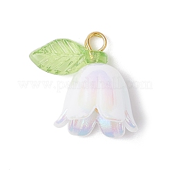 5 Stück transparente Acryl-Anhänger&nbsp;PALLOY-JF04703-01