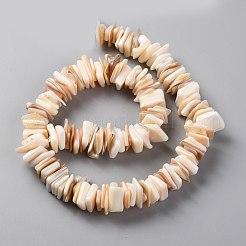 天然淡水シェルビーズ連売り  正方形  ミックスカラー  11~16.5x10~13x1~7mm  穴：1.2mm  約190個/連  14.96インチ（38cm）&nbsp;SHEL-C001-10