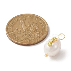 Природные пресноводные жемчужные подвески PALLOY-JF02151