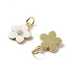 Латунь эмаль подвески&nbsp;KK-Z114-23G-02