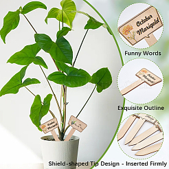 2 пакет деревянных этикеток для растений DIY-CP0012-70