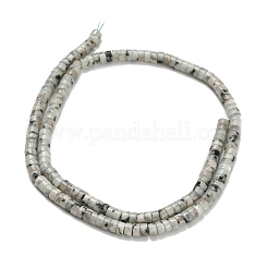 Натуральный кунжут яшма / киви нитки бусины яшмы G-Z110-A04-2x4mm