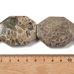 Природные окаменелые коралловые бусы пряди G-F477-07-44x34mm