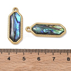 Natur Paua Muschel Anhänger&nbsp;SA-CBA11D7-20B-G