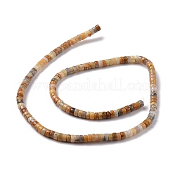 天然クレイジーレースアゲートビーズ連売り  フラットラウンド  4x2mm  穴：1mm  約169個/連  14.96''（38センチメートル）&nbsp;LS-G-P468-09