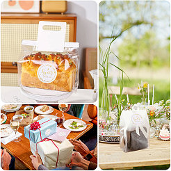 30 лист пластиковых самоклеящихся наклеек&nbsp;STIC-CA0001-04