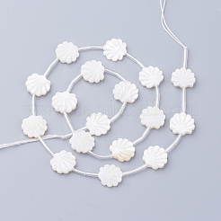 Натуральные белые бусины из ракушек X-SSHEL-Q298-06