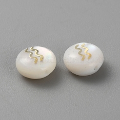 5шт натуральные пресноводные бусины из ракушек BSHE-TAC0004-01A