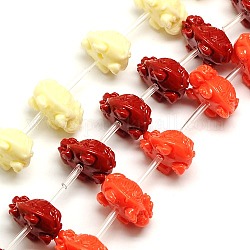Synthetic Coral Tortoise Beads Strands, Dyed, Mixed Color, 18x15x10mm, Hole: 1mm, about 23pcs/strand, 14.56inch~16.53inch