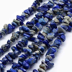 Chapelets de perles en lapis-lazuli naturel, puce, 5~8mm, Trou: 1mm, environ 33 pouce (84 cm)