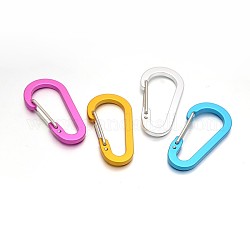 Aluminum Rock Climbing Carabiners, Key Clasps, with Iron Findings, Mixed Color, 60.5x30.5x9mm