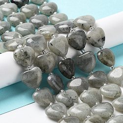 Natur Labradorit Perlen Stränge, mit Glasperlen, Herz, 14~15x15x6~6.5 mm, Bohrung: 1.4 mm, ca. 23~24 Stk. / Strang, 14.57'' (37 cm)