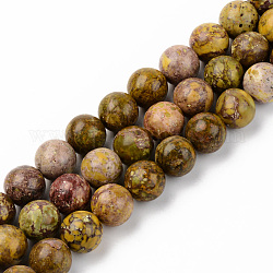 Natürliche amerikanische türkisfarbene Perlenstränge, gefärbt und erhitzt, Runde, leichtes Khaki, 10 mm, Bohrung: 1 mm, ca. 37~38 Stk. / Strang, 15-1/8 Zoll (38.5 cm)