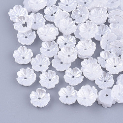 Tapas de abalorios de perlas de imitación de resina, 5-pétalo, flor, blanco, 8x8x2.5mm, agujero: 1 mm
