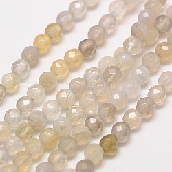 Chapelets de perles en agate naturelle du Botswana, ronde à facettes, 3mm, Trou: 0.8mm, Environ 121 pcs/chapelet, 15 pouce