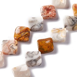Chapelets de perles en agate fou naturel, rhombus torsadée, 19.5~20x19.5~20x5~6mm, longueur de côté: 15~16.5 mm, Trou: 1.2mm, Environ 21 pcs/chapelet, 16.02'' (40.7 cm)