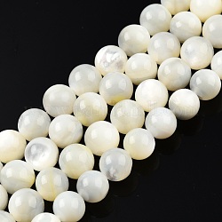 Hilos de cuentas de concha blanca natural, redondo, 7.5~8mm, agujero: 0.9 mm, aproximamente 49 pcs / cadena, 15.16 pulgada (38.5 cm)