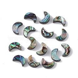 Perles de coquille d'ormeau naturel/coquille de paua, lune, colorées, 10x7x3mm, Trou: 0.9mm